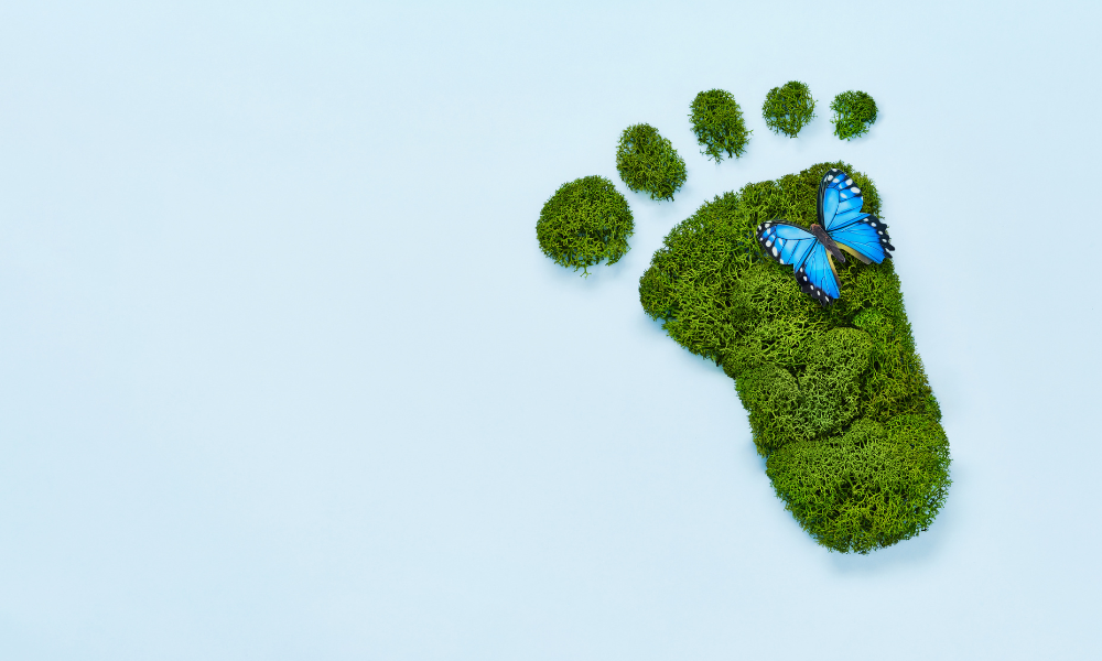 The Plastic Footprint Crisis and the Path to Sustainability